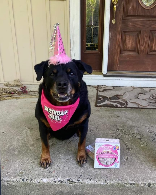 Sierra @ 5 years old - Click for more....