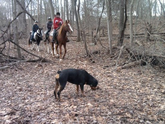 Anna - Trail Riding
