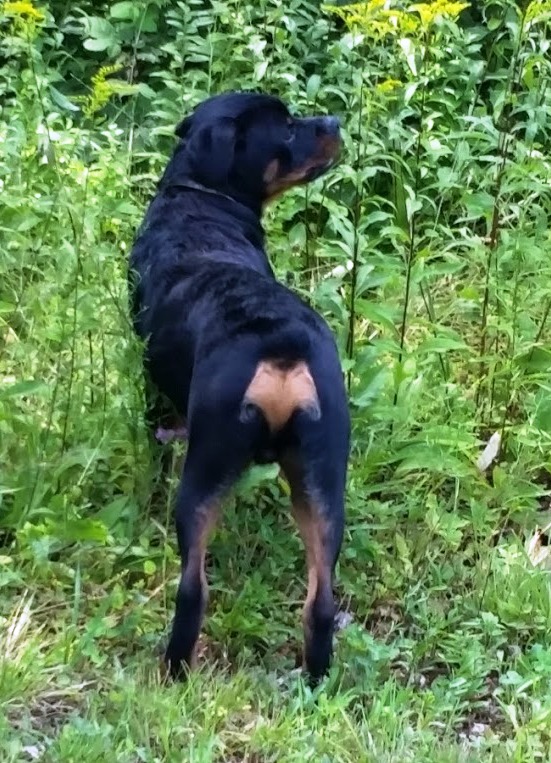 Jameson @ 6 months
