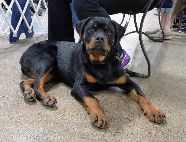 Jameson @ 6 months