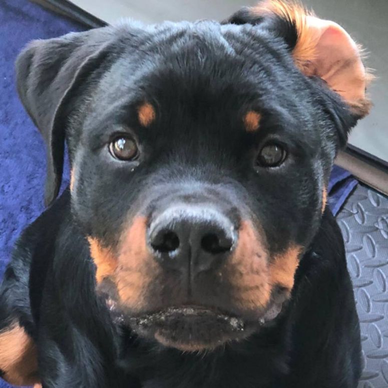 Jameson @ 5 months