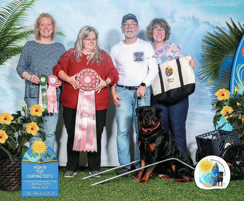 CH Wllslands N' a Landslide CGC
