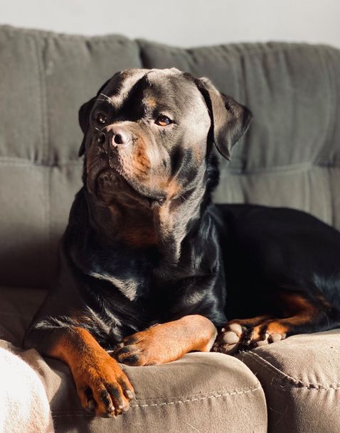 Zuri 3yrs