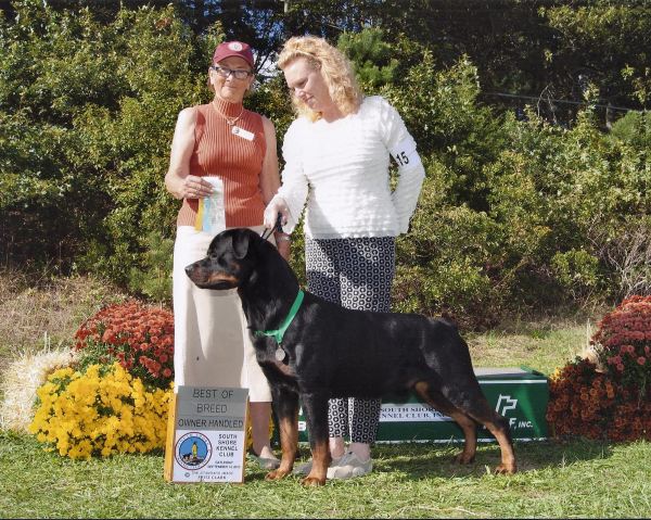 Bubba 2.5yrs Cape Cod BOB Group 4
