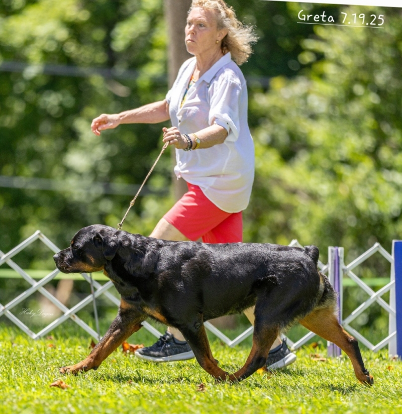 Greta @ 3yrs - BOB June 15, Middlesex County KC Brooklyn CT.