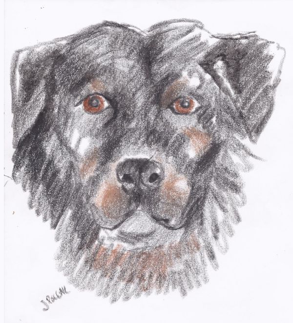 Mattie Portrait June 8 2013