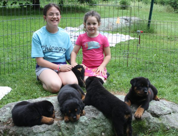 Cammy & Sarah with puppies 5 wks 4 days