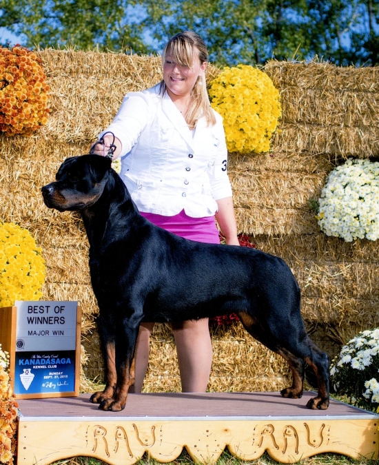 Armatas Elsie V Hoffman