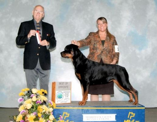 BOS Hartford 2014 - Click for Larger View