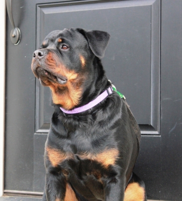 Click for Larger View