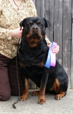 Click for Larger View