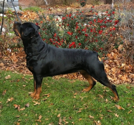 Click for Larger View