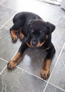 Click for Larger View