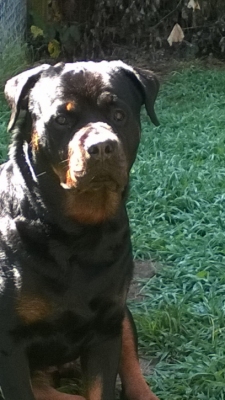 Click for Larger View