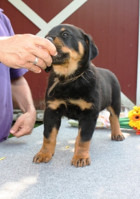 Click for Larger View