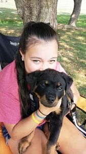 Click for Larger View