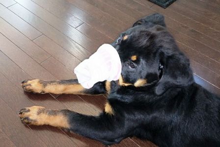 Click for Larger View