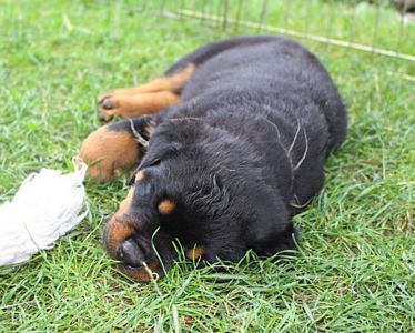 Click for Larger View