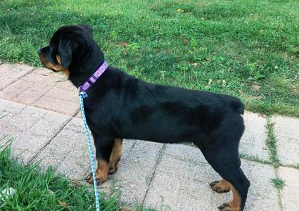 Click for Larger View