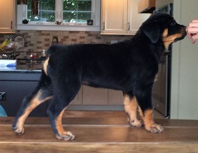 Click for Larger View