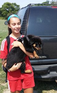 Click for Larger View