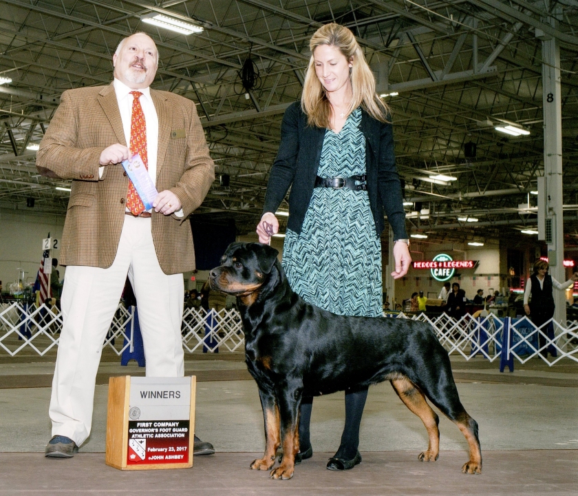 Wllslands Imagine Bella Luna