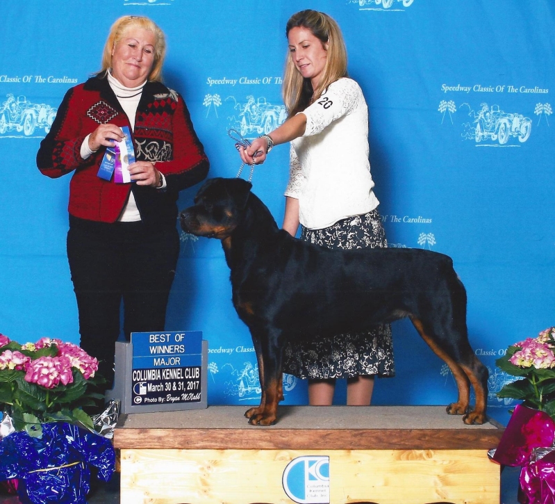 Wllslands Imagine Bella Luna