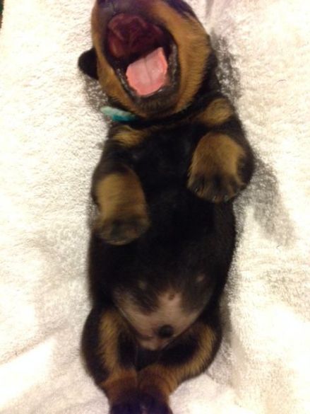 Teal - Click for Larger View