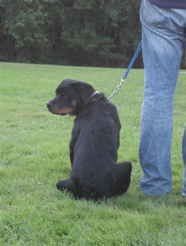 Wllslands Salt Rocks Benson