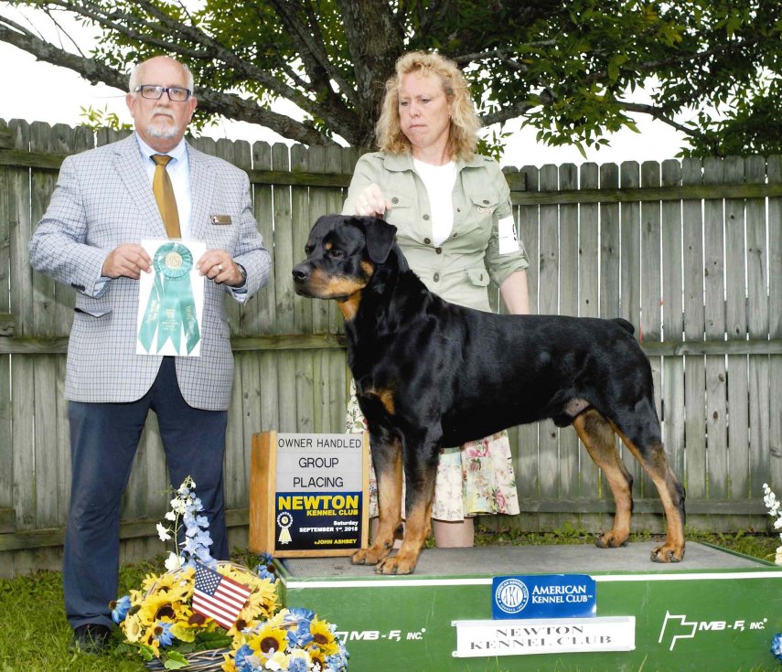 GRCH Wllslands Jackpot at Doverdowns V Cooper Creek RN TT CGC - Click for Larger View