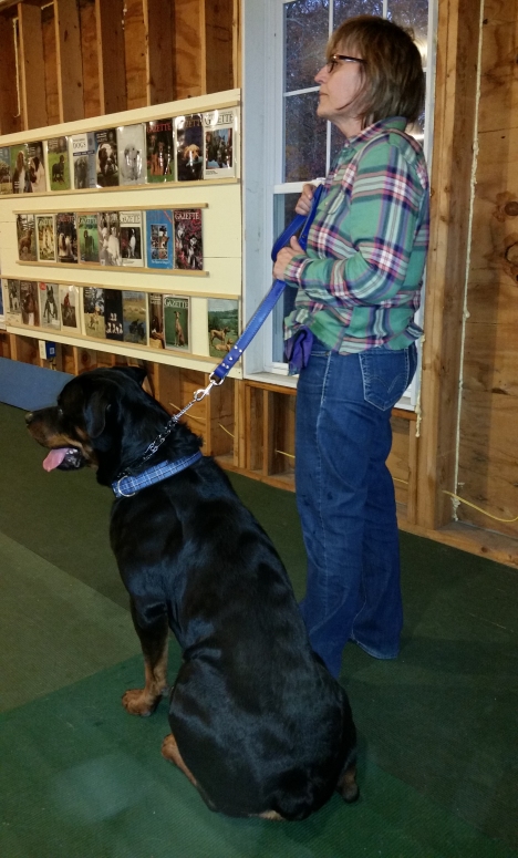 15 months - attention training - Click for larger view