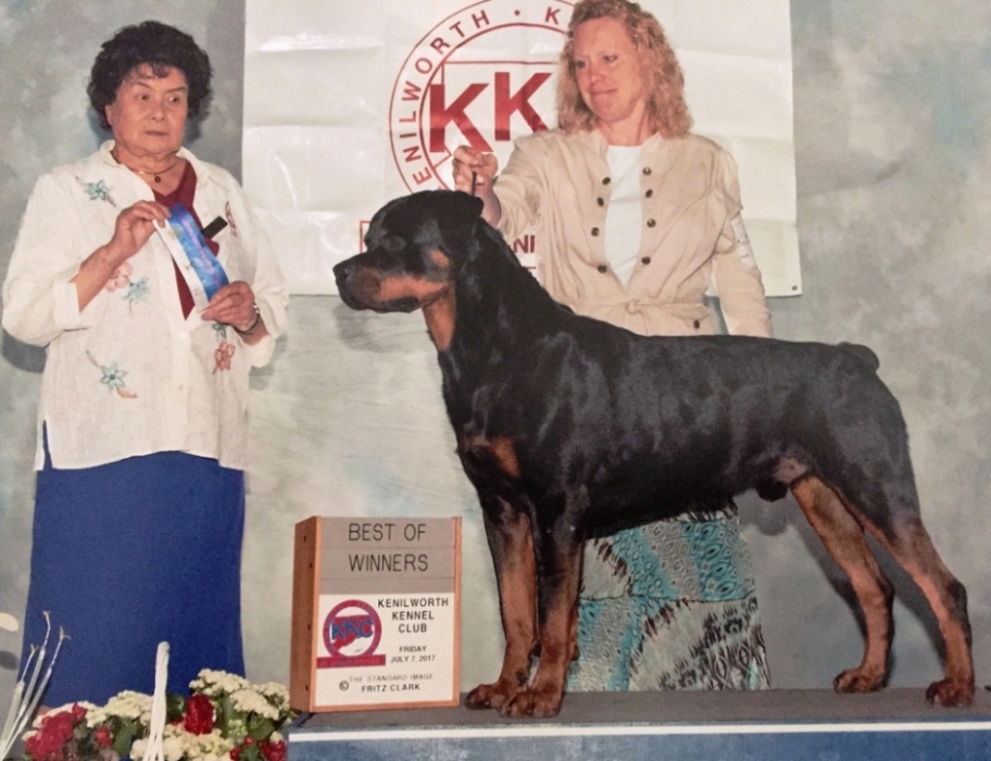 1st points - December 11, 2016 - Click for larger view