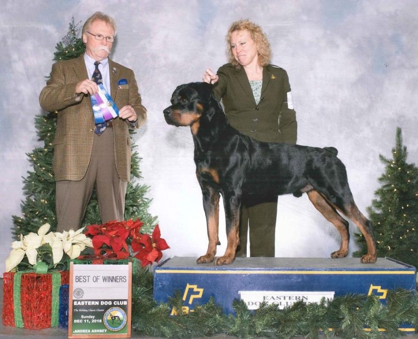 1st points - December 11, 2016 - Click for larger view