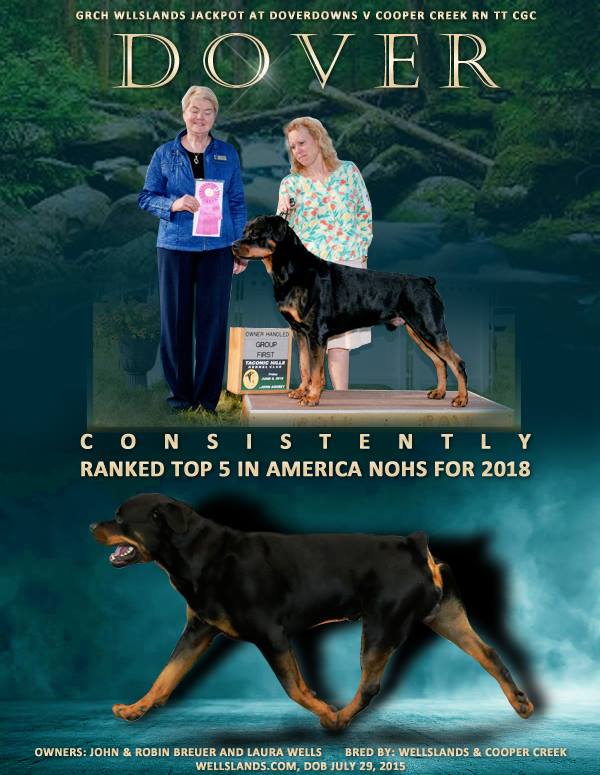 Dover - Click for Larger View