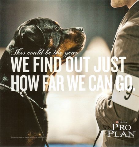 Purina Pro Plan Ad