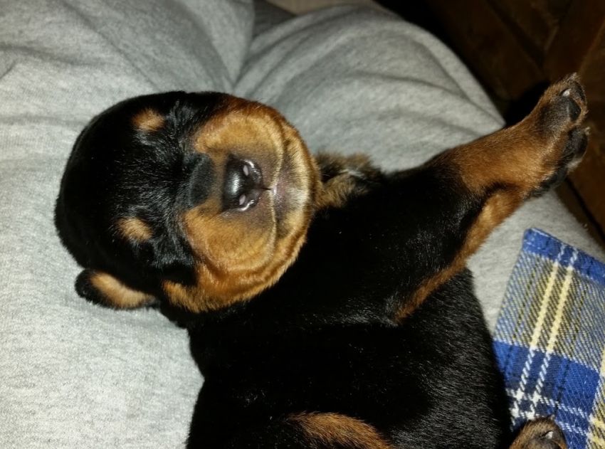 10 day girl