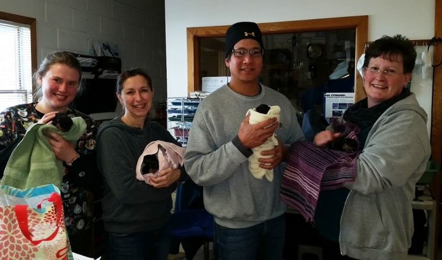 Jan 19, 2018: 4 puppies born at home, then off to have a C-section by noon. With all hands on deck 5 more puppies were born weighing in all around a pound!