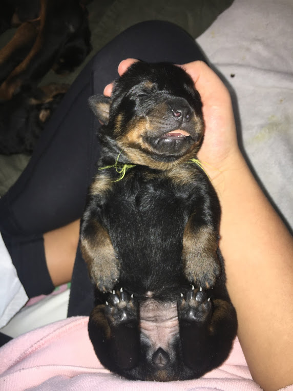 8 days