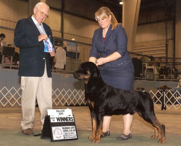 Onyx 2nd major 28 months