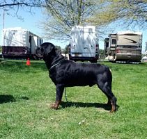 Boz in Trenton  - Click for Larger View