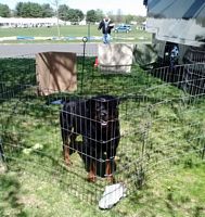Bubba Trenton Ron carrying food 2014  - Click for Larger View