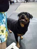 Demi head shot CRC 2014  - Click for Larger View