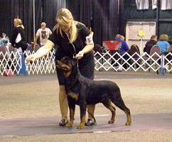 Enzo BBE CRC 2014  - Click for Larger View