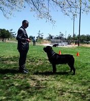 Randy & Boz Trenton 2014  - Click for Larger View