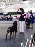 Sue and Teddy Best Veteran CRC 2014  - Click for Larger View