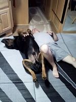 Bubba and Ron relaxing in motor home - Click for Larger View