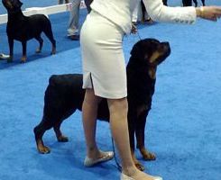 Emma and Sarah working grp - Click for Larger View