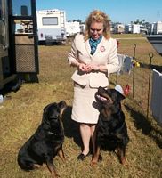 Eukanuba day mattie and bubba - Click for Larger View