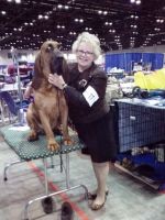 Garth on grooming table - Click for Larger View