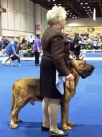 Garth relaxed profile - Click for Larger View